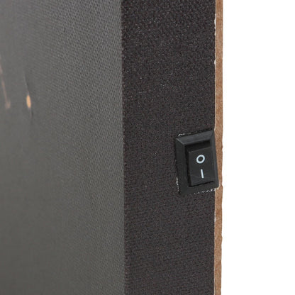 Luna Moth Light Up Canvas Plaque