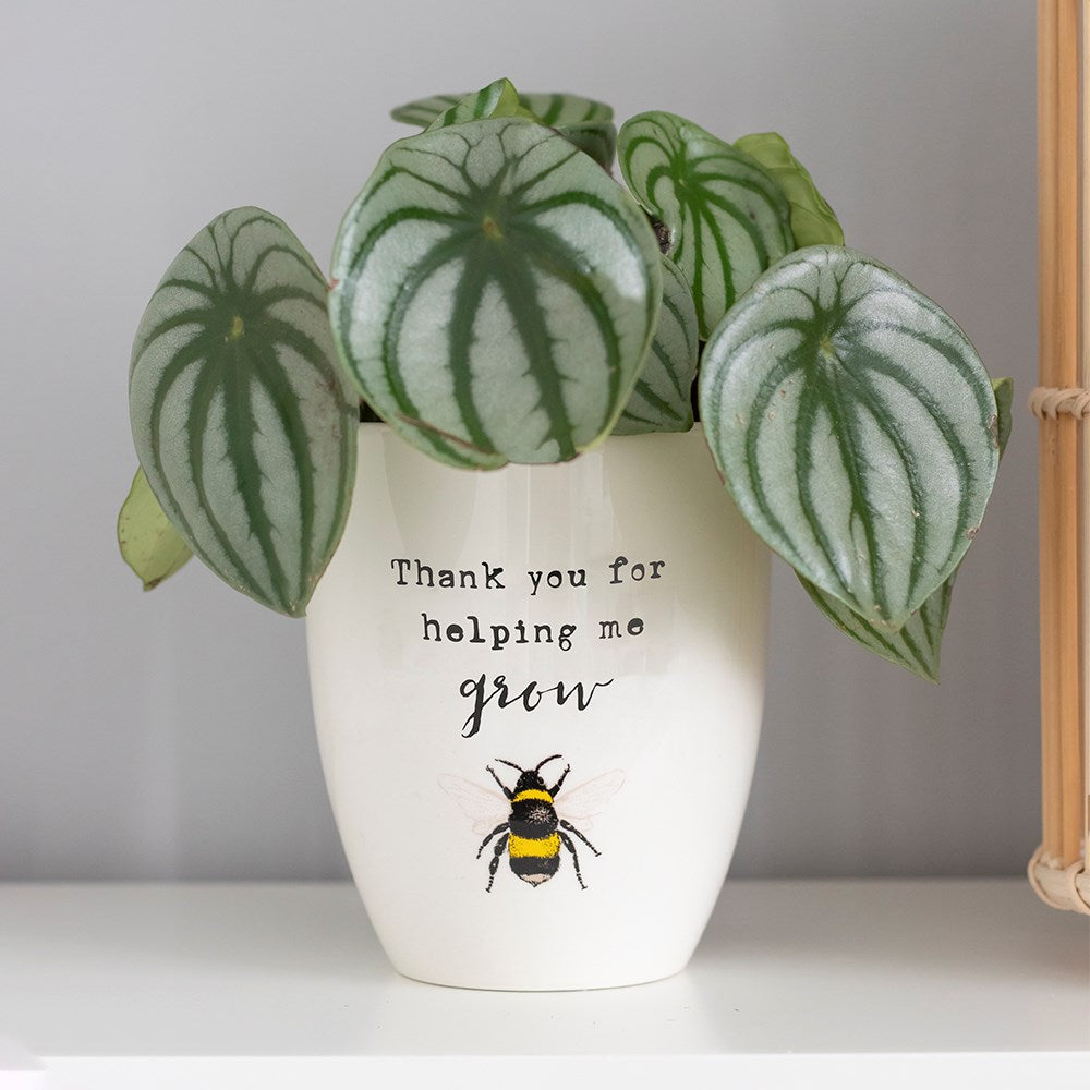 Ceramic Bee Plant Pot