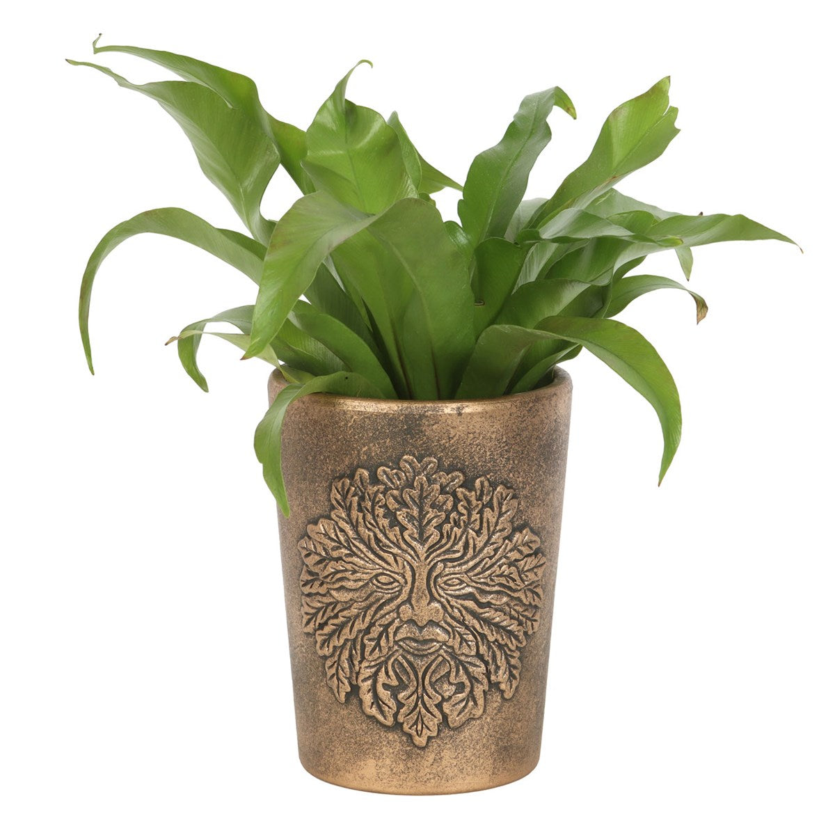 Terracotta Bronze Pot - Green Man