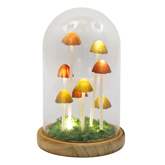 LED Glass Mushroom Dome Light