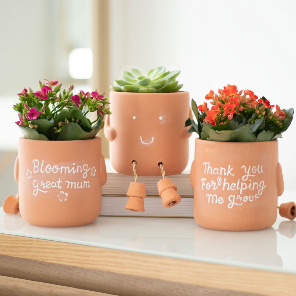 Terracotta Plant Pot Pal - Great Mum