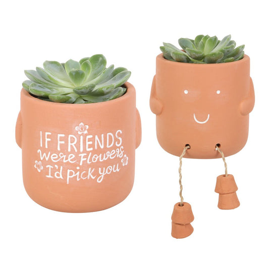 Terracotta Plant Pot Pal - Friends