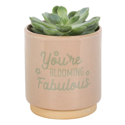 Blooming Fabulous Plant Pot