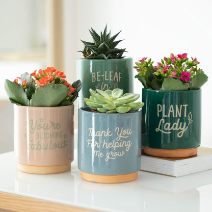 Blooming Fabulous Plant Pot