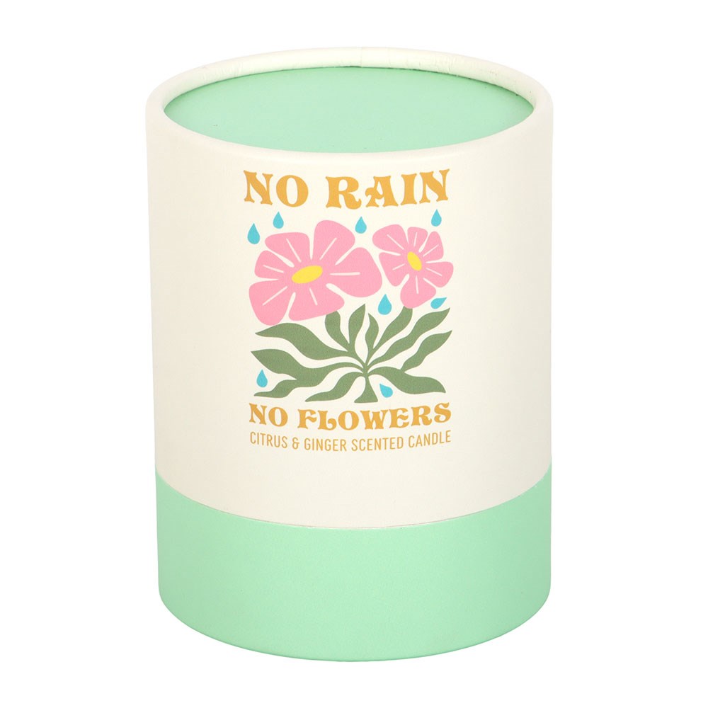 No Rain, No Flowers Citrus & Ginger Candle
