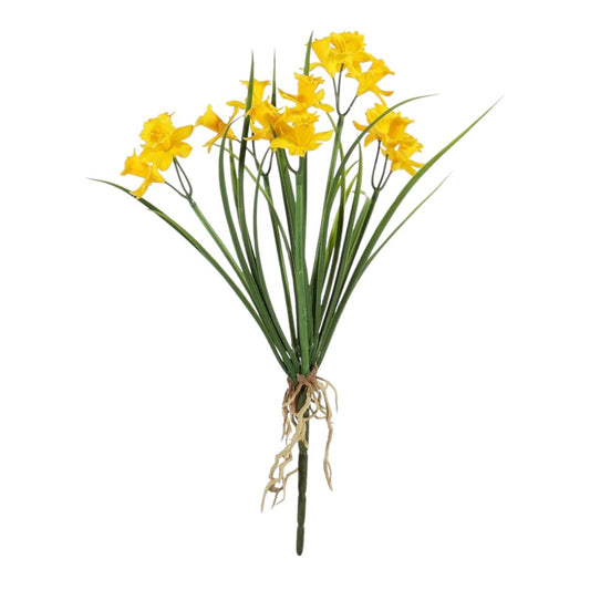 UV Exterior Daffodil Bush H36cm
