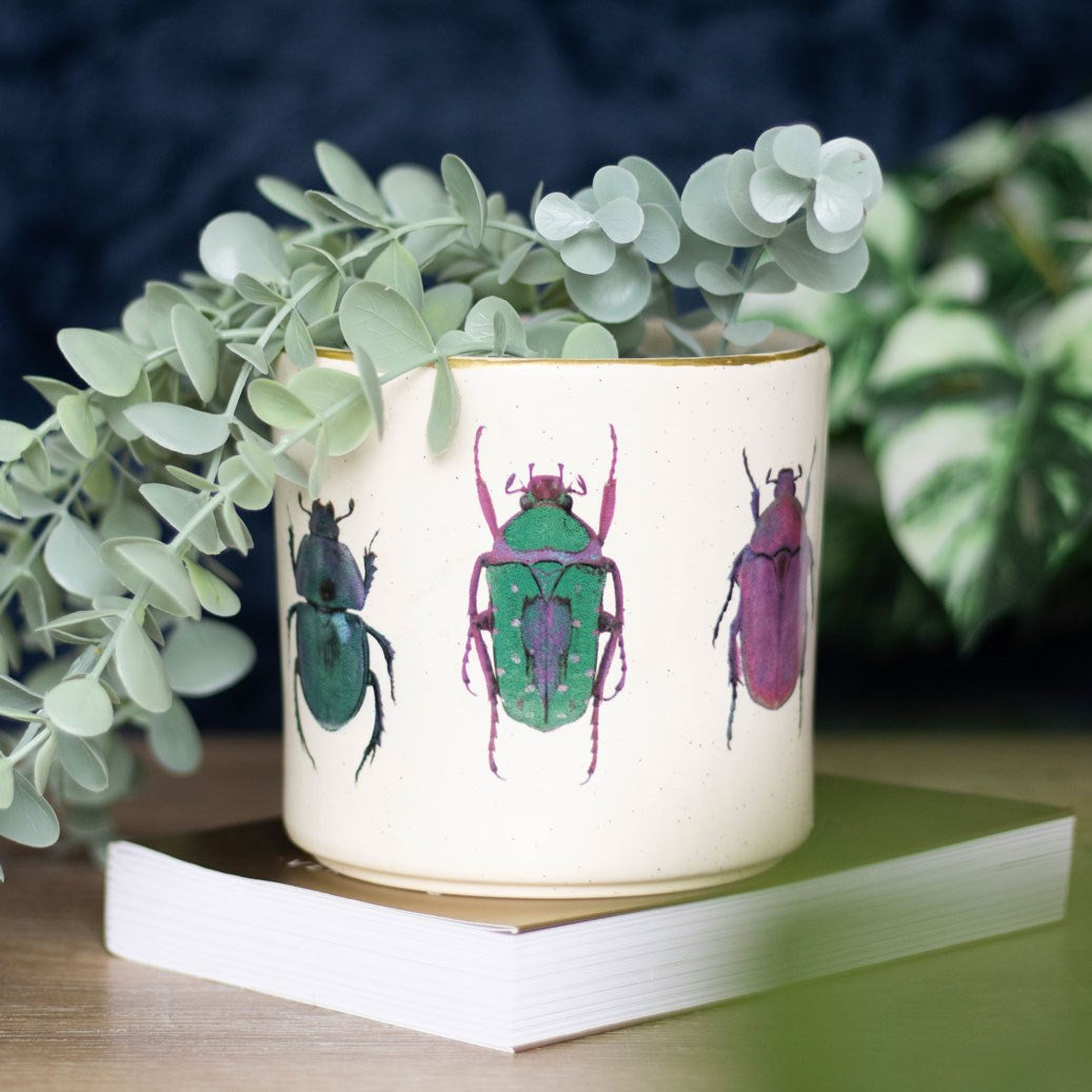 Beetle Print Ceramic Plant Pot