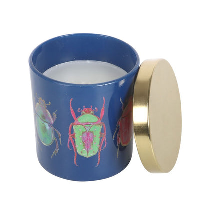 Blue Beetle Amber & Vanilla Candle