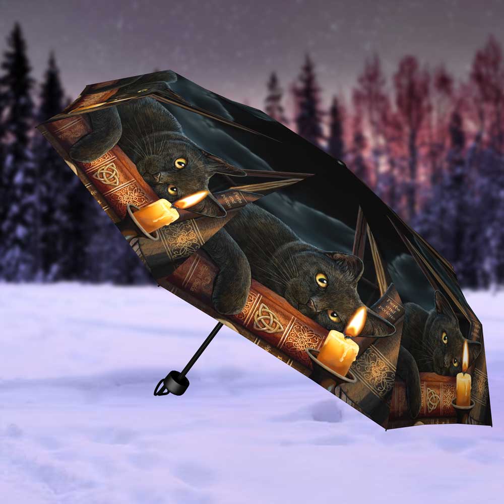 https://www.nemesisnow.com/media/catalog/product/b/2/b2478g6-7.jpg