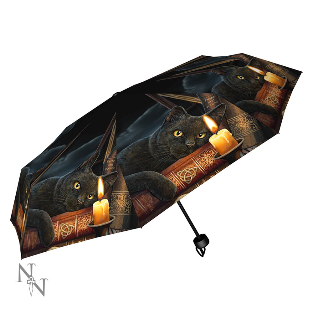 Nemesis Now Lisa Parker Witching Hour Cat Umbrella Black 24cm x 5cm