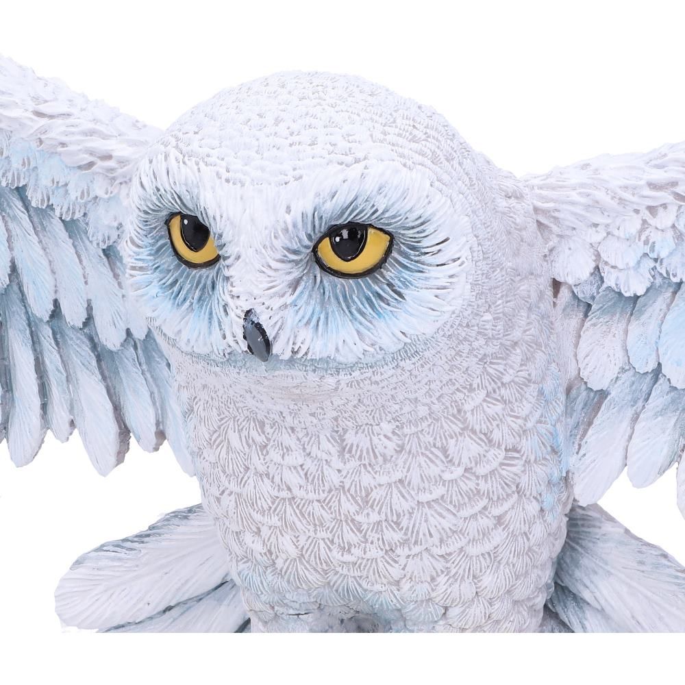 Harry Potter Hedwig Owl Wall Plaque 45cm