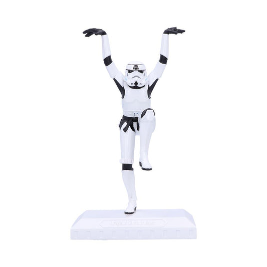 Stormtrooper Crane Kick 20.5cm