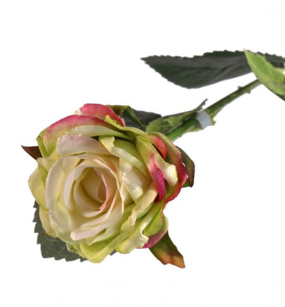 Single Stem Diamond Rose - Light Green