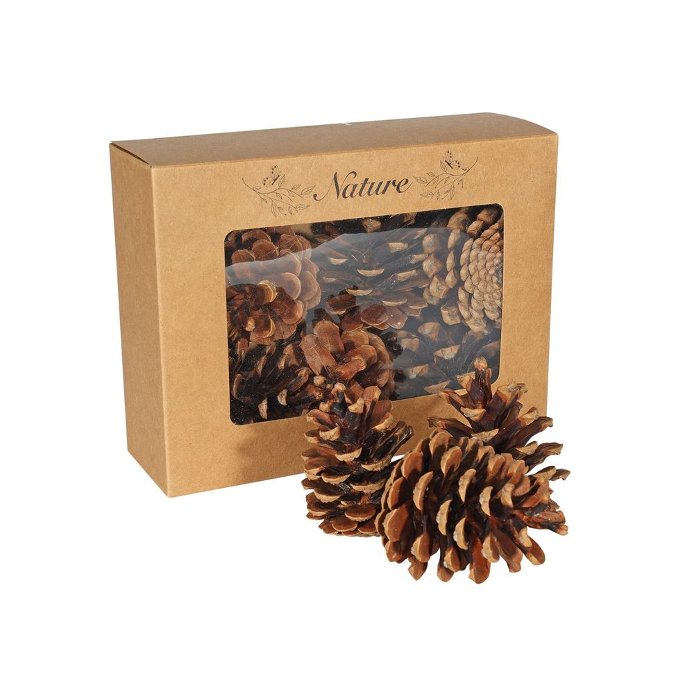 Pack of 9 Dried Pine Cones