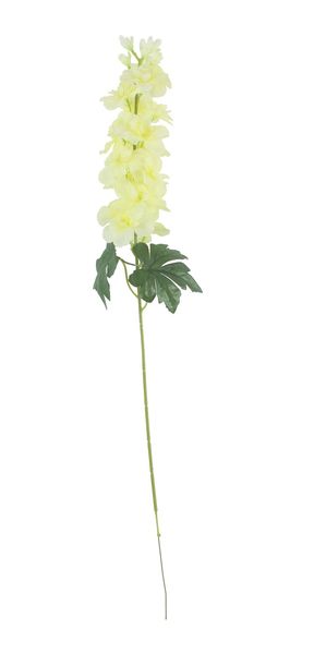 Arundel Delphinium 77 cm - Yellow