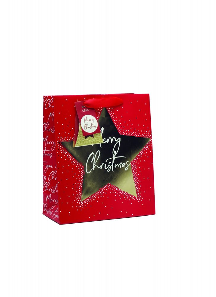 Medium North Star Gift Bag