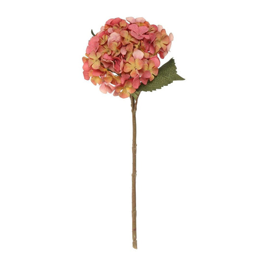 Balmoral Hydrangea Orange - 45cm