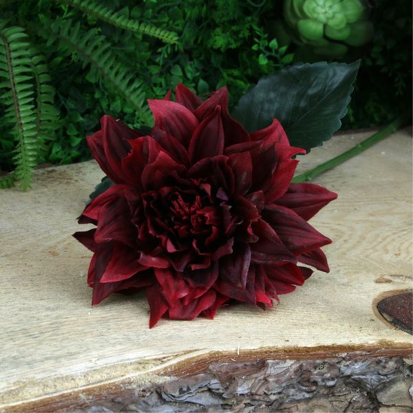 Single Dahlia Dark Red 61cm