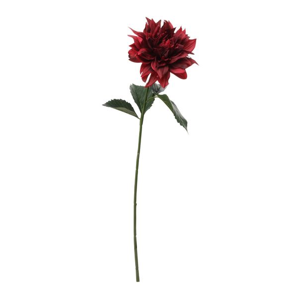 Single Dahlia Dark Red 61cm