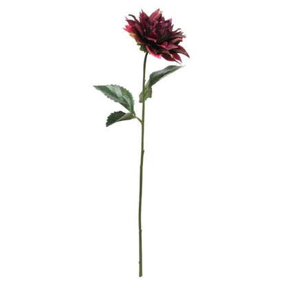 Single Dahlia Burgundy 61cm