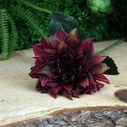 Single Dahlia Burgundy 61cm