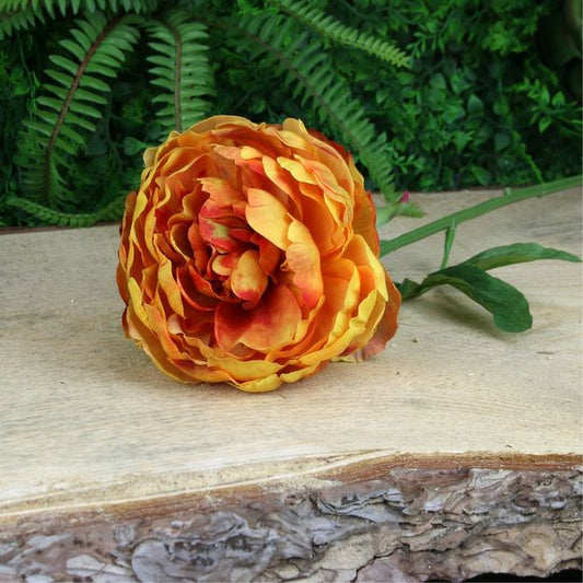 Single Peony Yellow - 62cm