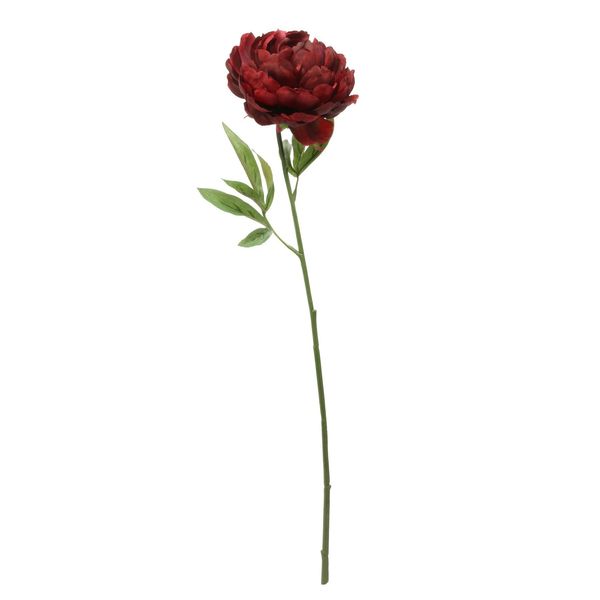 Single Peony Red - 62cm