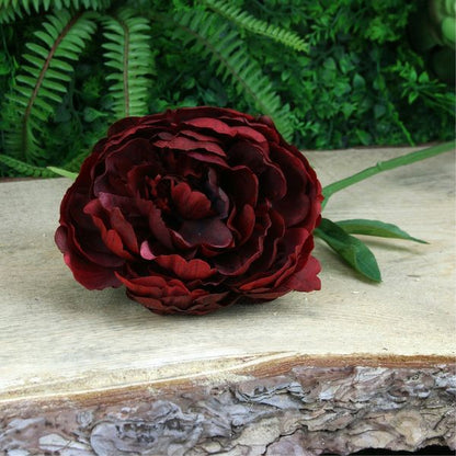 Single Peony Red - 62cm