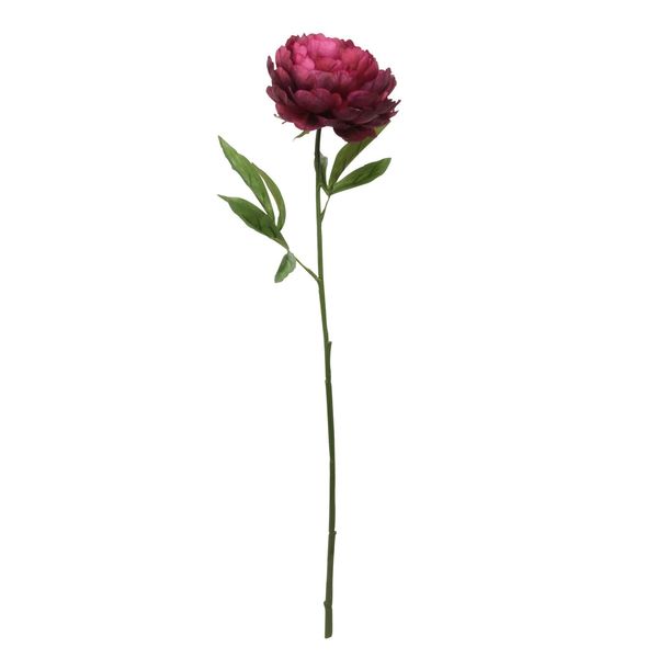 Single Peony Burgundy - 62cm