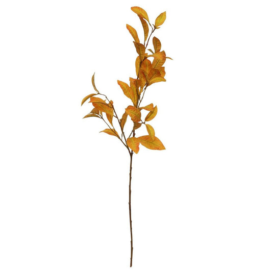 Croton Spray Gold 108cm