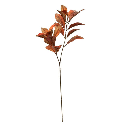 Croton Spray Orange