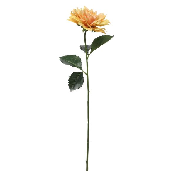 Single Dahlia Yellow 61cm