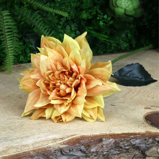 Single Dahlia Yellow 61cm