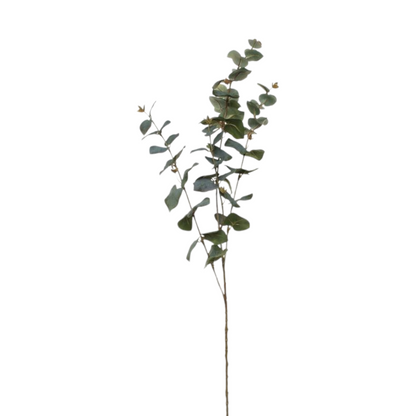 Large Eucalyptus Spray Green - 108cm