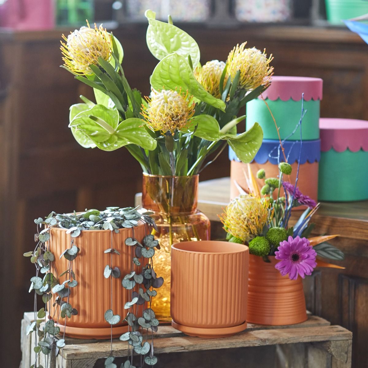 Ceramic Ridged Pot With Saucer - Tango