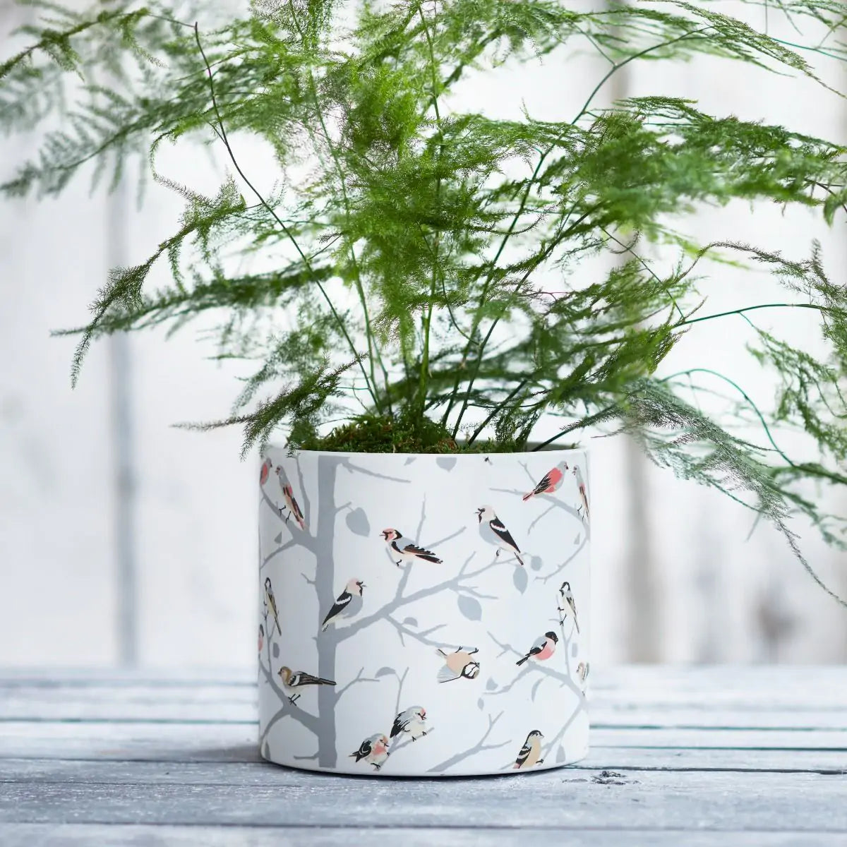 Ceramic Bird Print Pot - 15.5cm