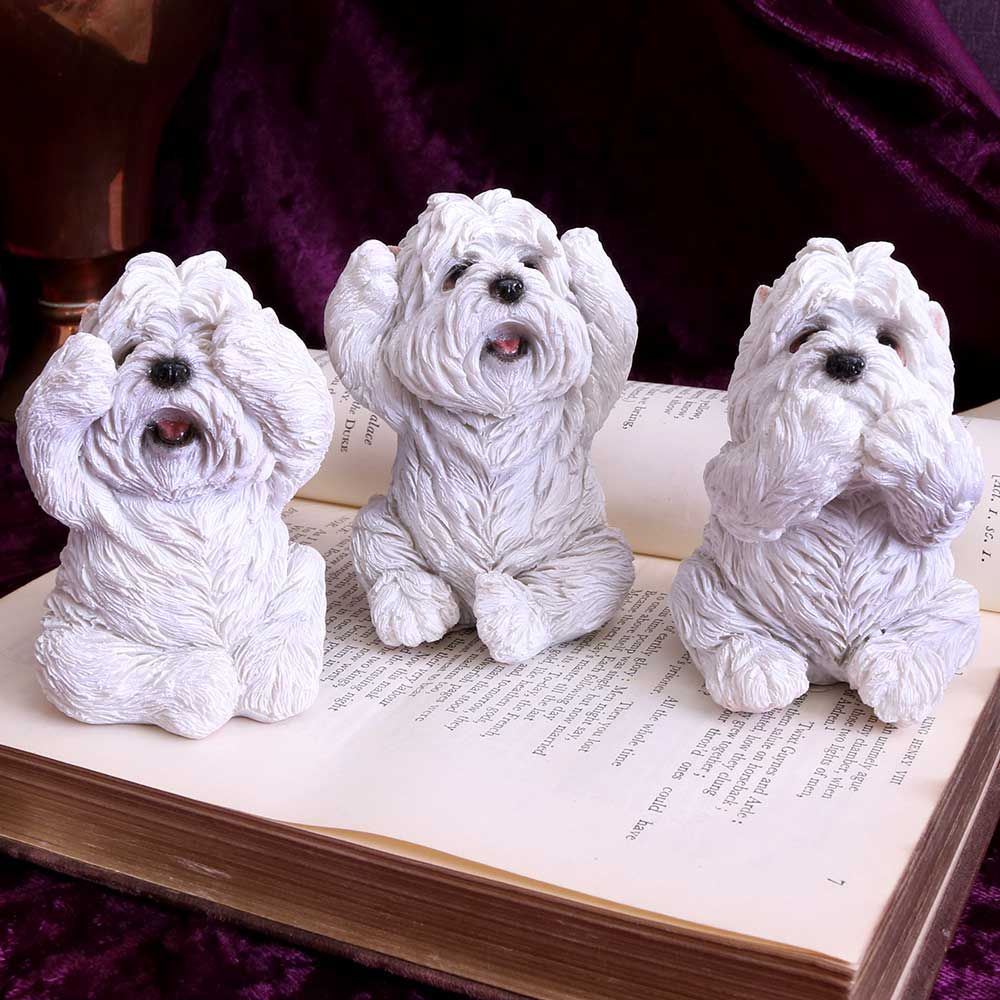 Three Wise Westies