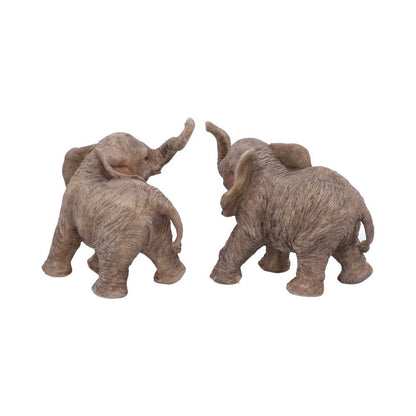 Trunk to Trunk Elephant Infants