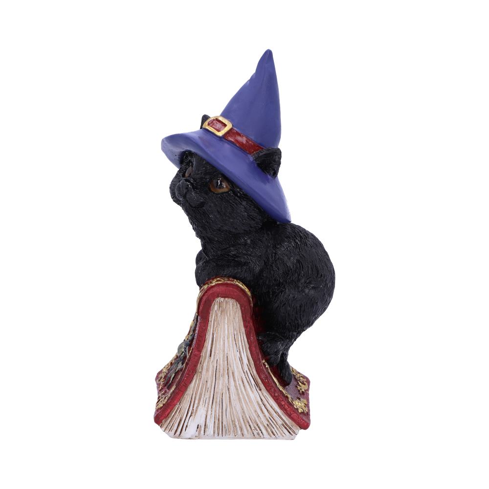 Hocus Witches Familiar Black Cat and Spellbook Figurine