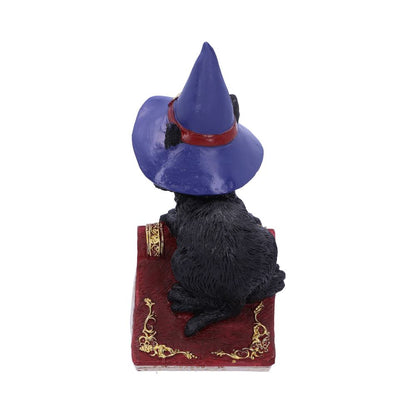 Hocus Witches Familiar Black Cat and Spellbook Figurine