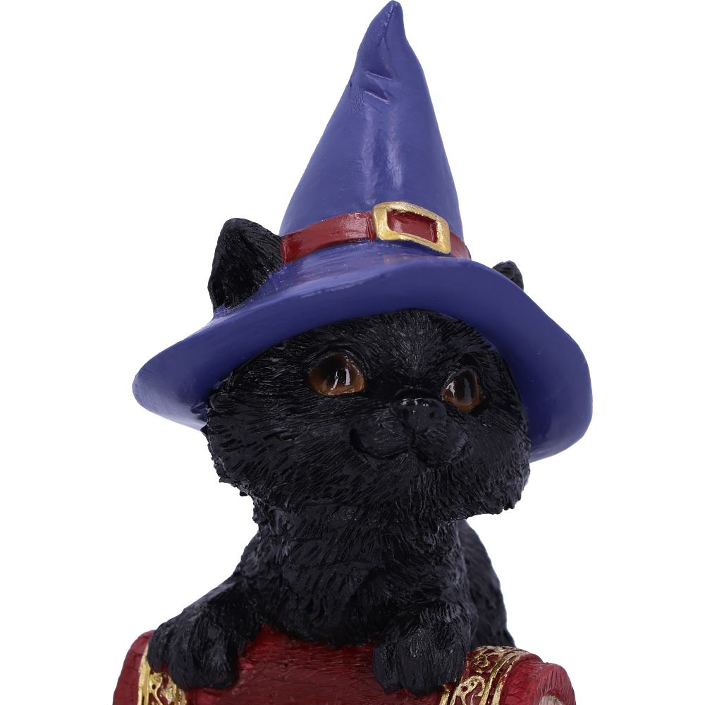 Hocus Witches Familiar Black Cat and Spellbook Figurine