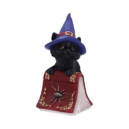 Hocus Witches Familiar Black Cat and Spellbook Figurine