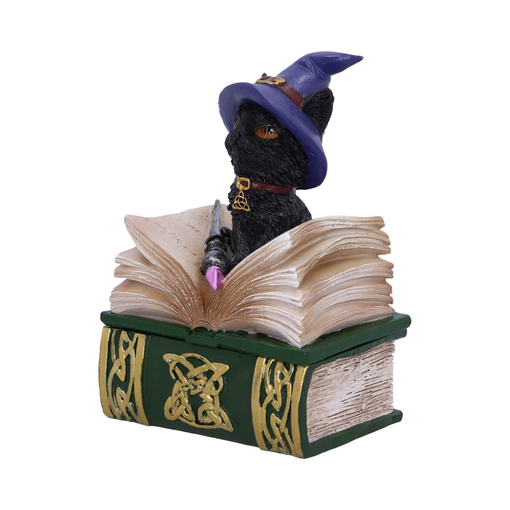 Binx Witches Familiar Black Cat and Spellbook Figurine Box
