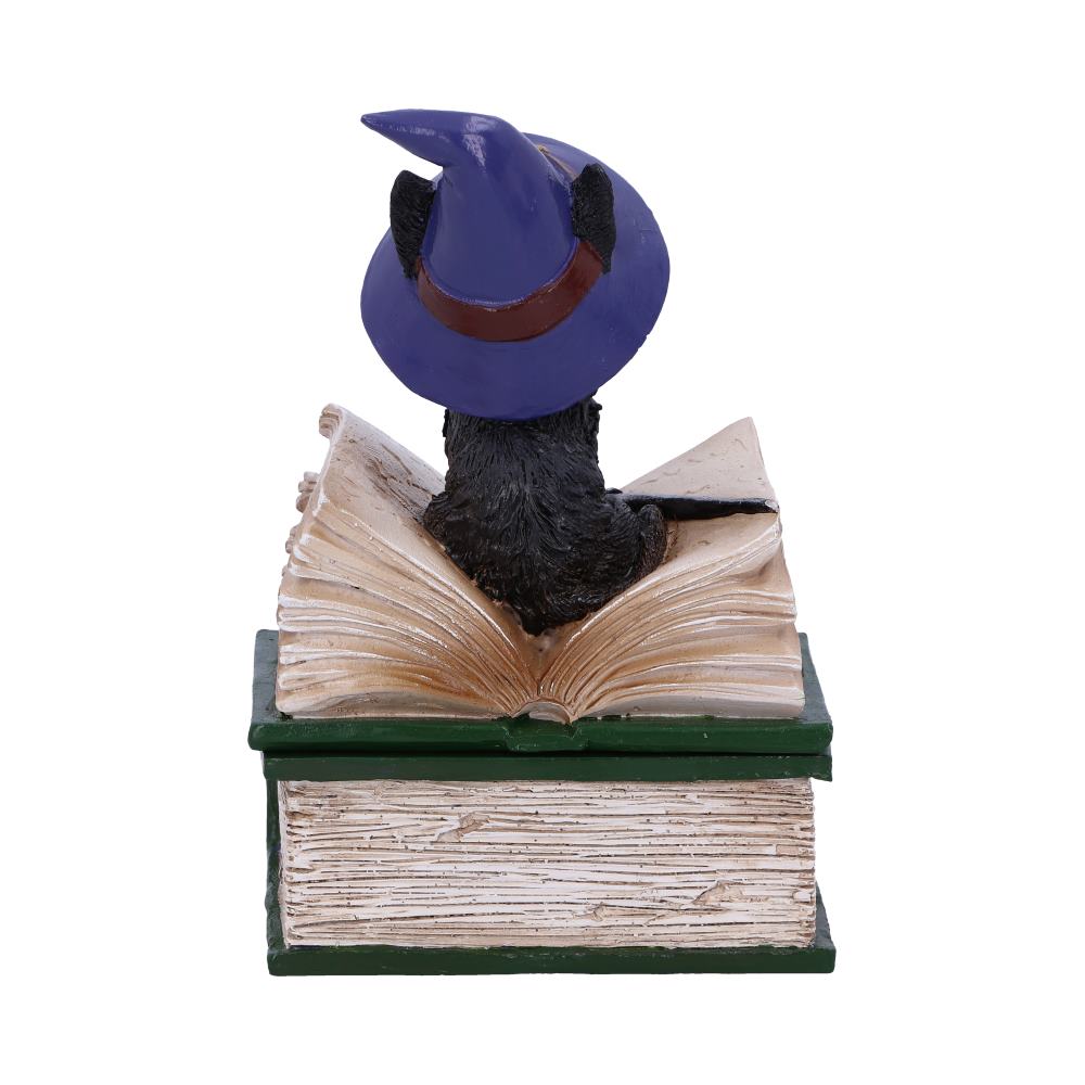 Binx Witches Familiar Black Cat and Spellbook Figurine Box