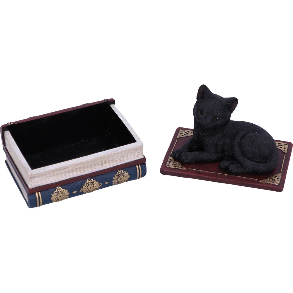 Salems Spells Witches Familiar and Spellbook Box