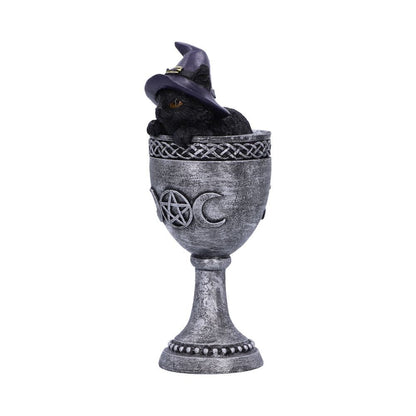 Coven Cup 15.7cm