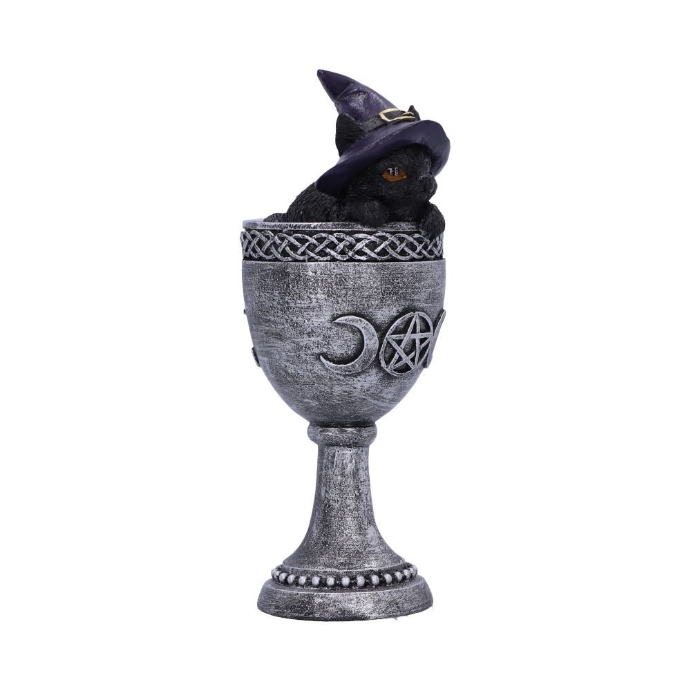 Coven Cup 15.7cm