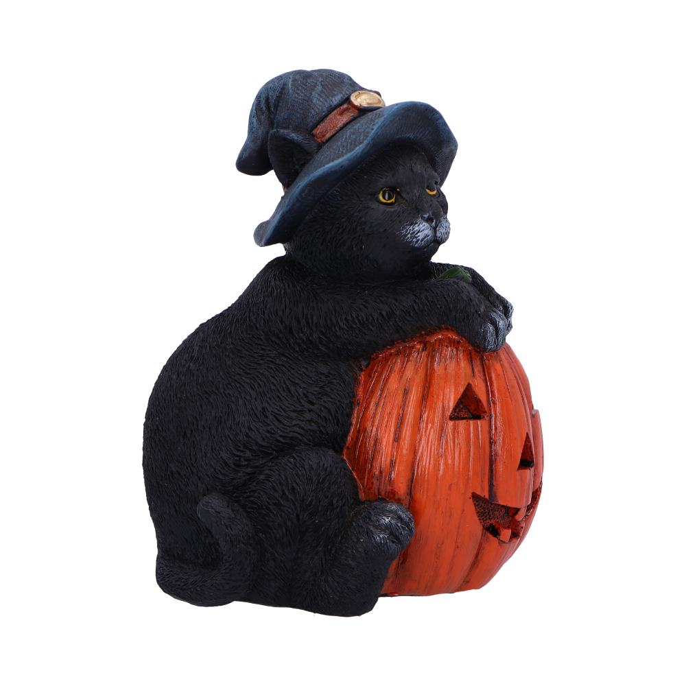 Trick or Treat Cat with Pumpkin Figurine