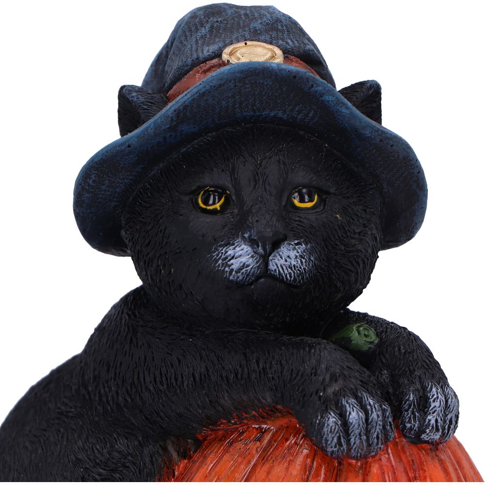 Trick or Treat Cat with Pumpkin Figurine