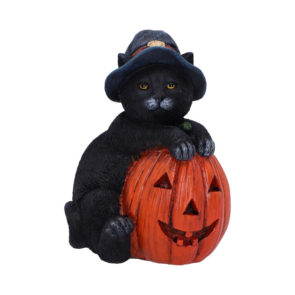 Trick or Treat Cat with Pumpkin Figurine